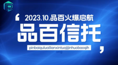 PinBai（品百）：去中心化的权威性